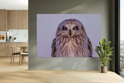 SEO Sunset Reproduction