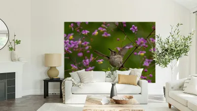 Hummingbird in Flower Frame Reproduction