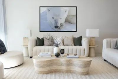 Polar Gaze Reproduction