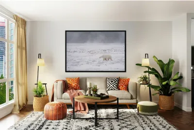 Storm Evader Reproduction