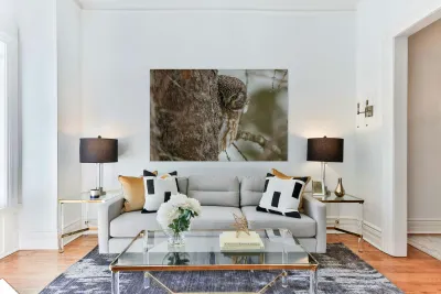 Boreal Owl Peekaboo Reproduction