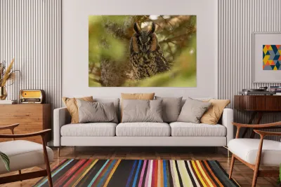 LEO Portrait Reproduction