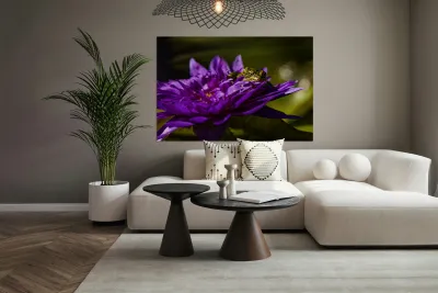 Flower Story 2 Reproduction