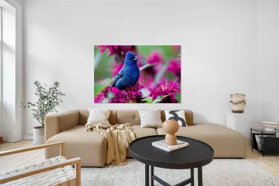 Indigo Bunting Reproduction