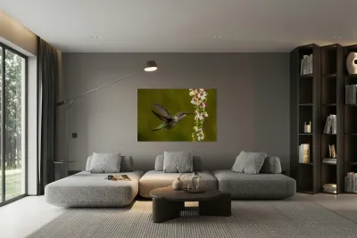 Hummingbird Reproduction