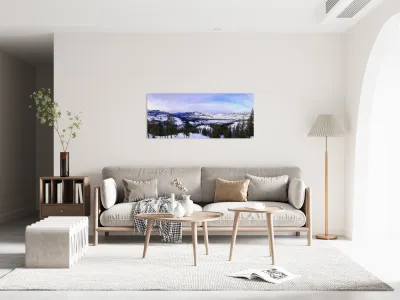 Winter in Washington Reproduction