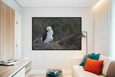 KO EC 14270 Reproduction