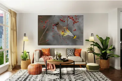 Waxwing Reproduction