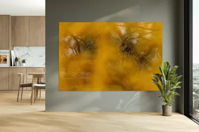 LEO Fall Time Reproduction