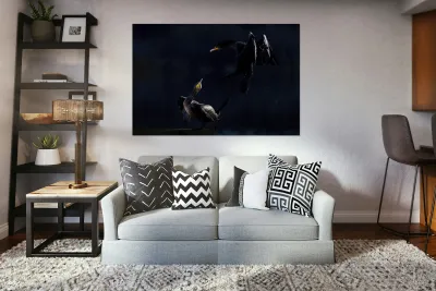 Double Cormorant Reproduction