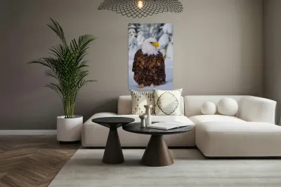 Bald Eagle Winter Reproduction