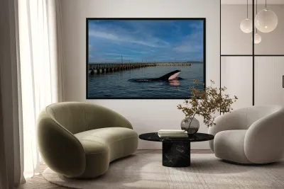 Serenity Interrupted Reproduction