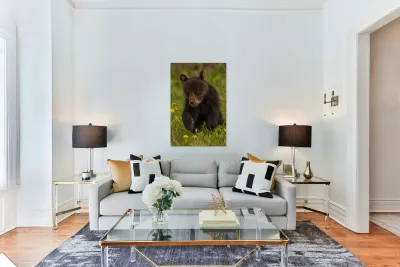 Black Bear Cub Reproduction