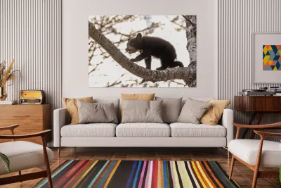 Black Bear Cub 2 Reproduction