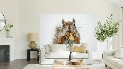 Red Squirrel Reproduction