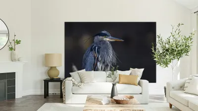Blue Heron Reproduction