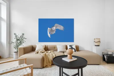 Snowy Owl Reproduction