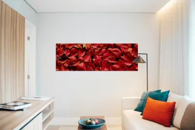 Autumn Red Leaf Panorama Reproduction