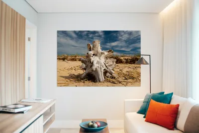 Driftwood ON the Beach Reproduction