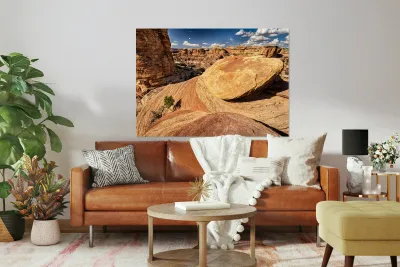Canyonlands Outcrop Reproduction