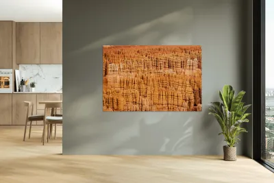 Hoodoo Nation Reproduction