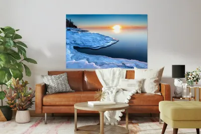 Winter of Sun Reproduction