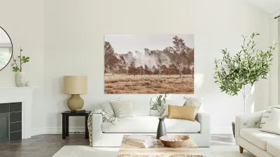 Nour Nour Haze Reproduction