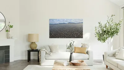 Receding Bubbles  60.34 Reproduction