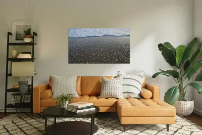 Receding Bubbles  72.41 Reproduction