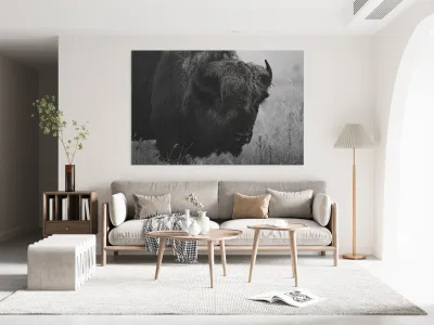 Bison BW Reproduction