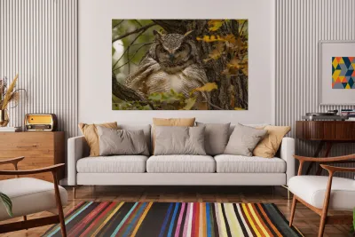 GHO Fall Time Reproduction