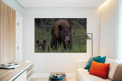 Mom and Cub Reproduction