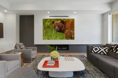 Cool Face Reproduction