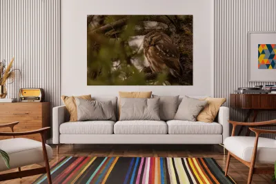 Saw Whet Owl 2 Reproduction