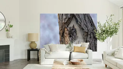 Screech Reproduction