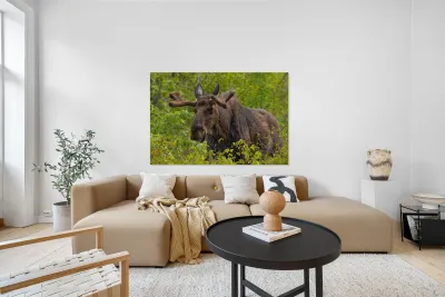 Big Boy Reproduction