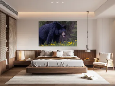Black Bear 2 Reproduction