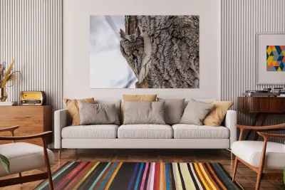 Screech 3 Reproduction