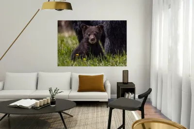 Black Bear Cub 4 Reproduction