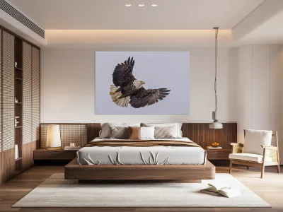 Bald Eagle 4 Reproduction