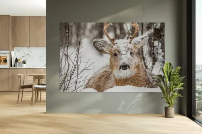 Buck under the Snow Reproduction