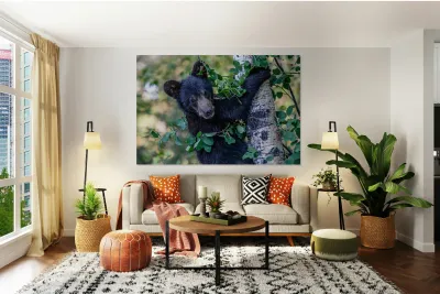 Black Bear Cub 5 Reproduction