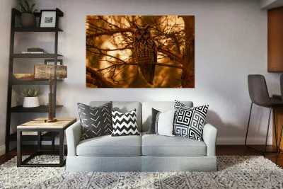 LEO Sunset Reproduction