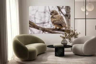 GHOwlet Reproduction