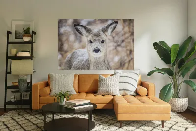 Cute Deer Reproduction