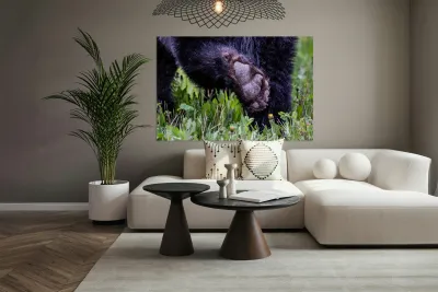 Bear Foot Reproduction