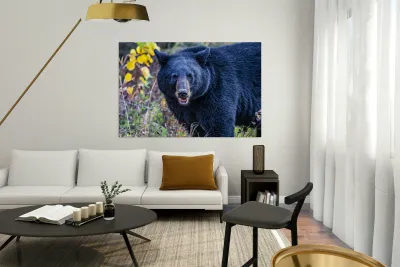 Black Bear Boss Reproduction