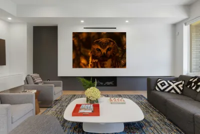 Saw Whet Owl 4 Reproduction