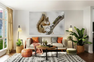 Red Squarel 2 Reproduction