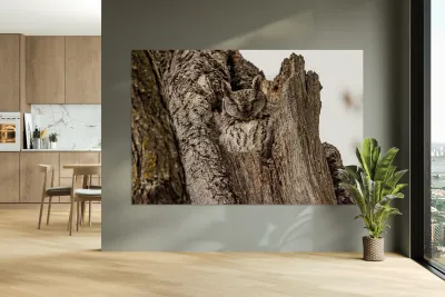 Screech Owl 4 Reproduction